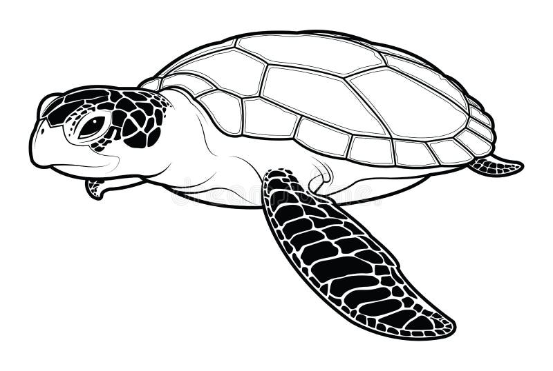 Historieta animal de la tortuga de mar en el fondo blanco ilustraciãn del vector