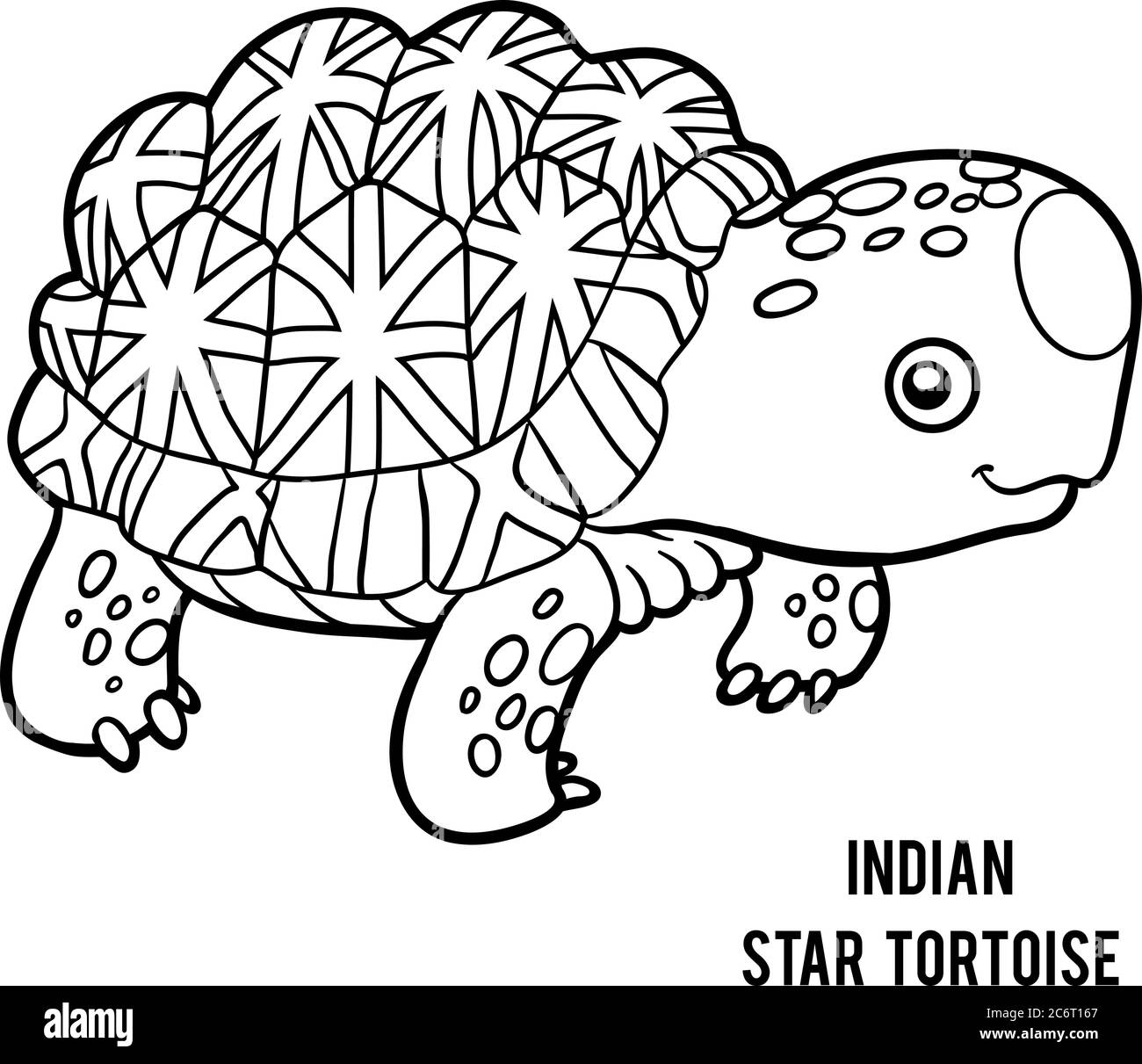 Turtle toy black and white stock photos images
