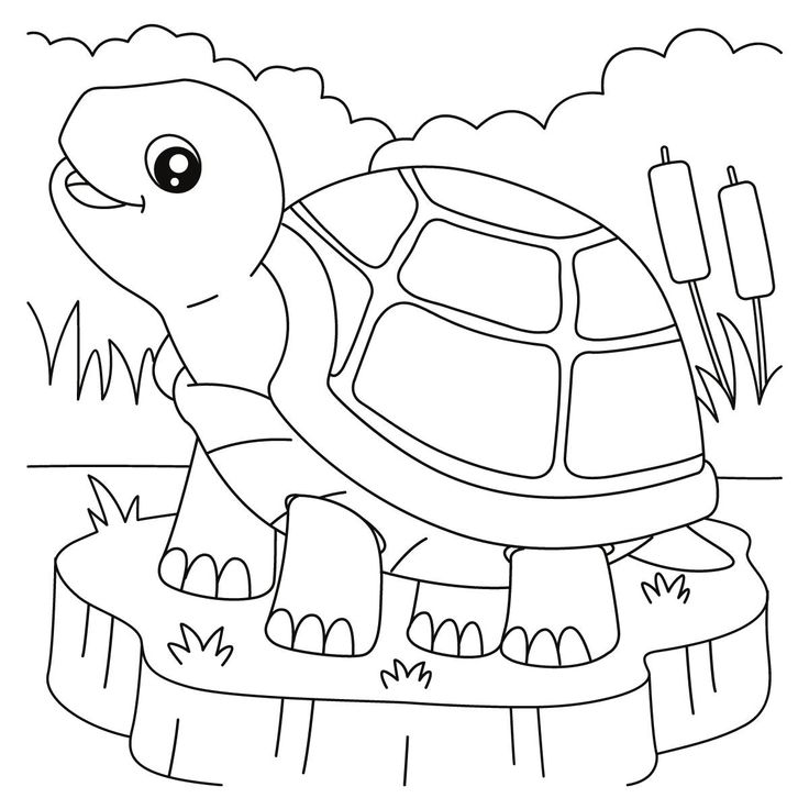 Paint your own cookie animals edition tortuga para colorear dibujo de tortuga perritos para dibujar