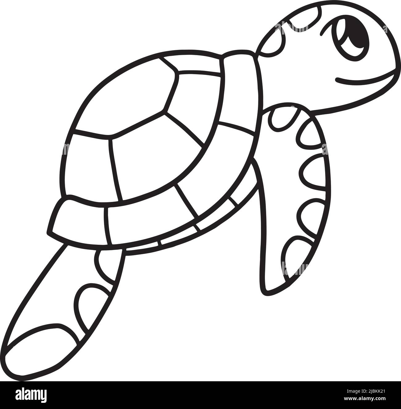 Turtle coloring book black and white stock photos images