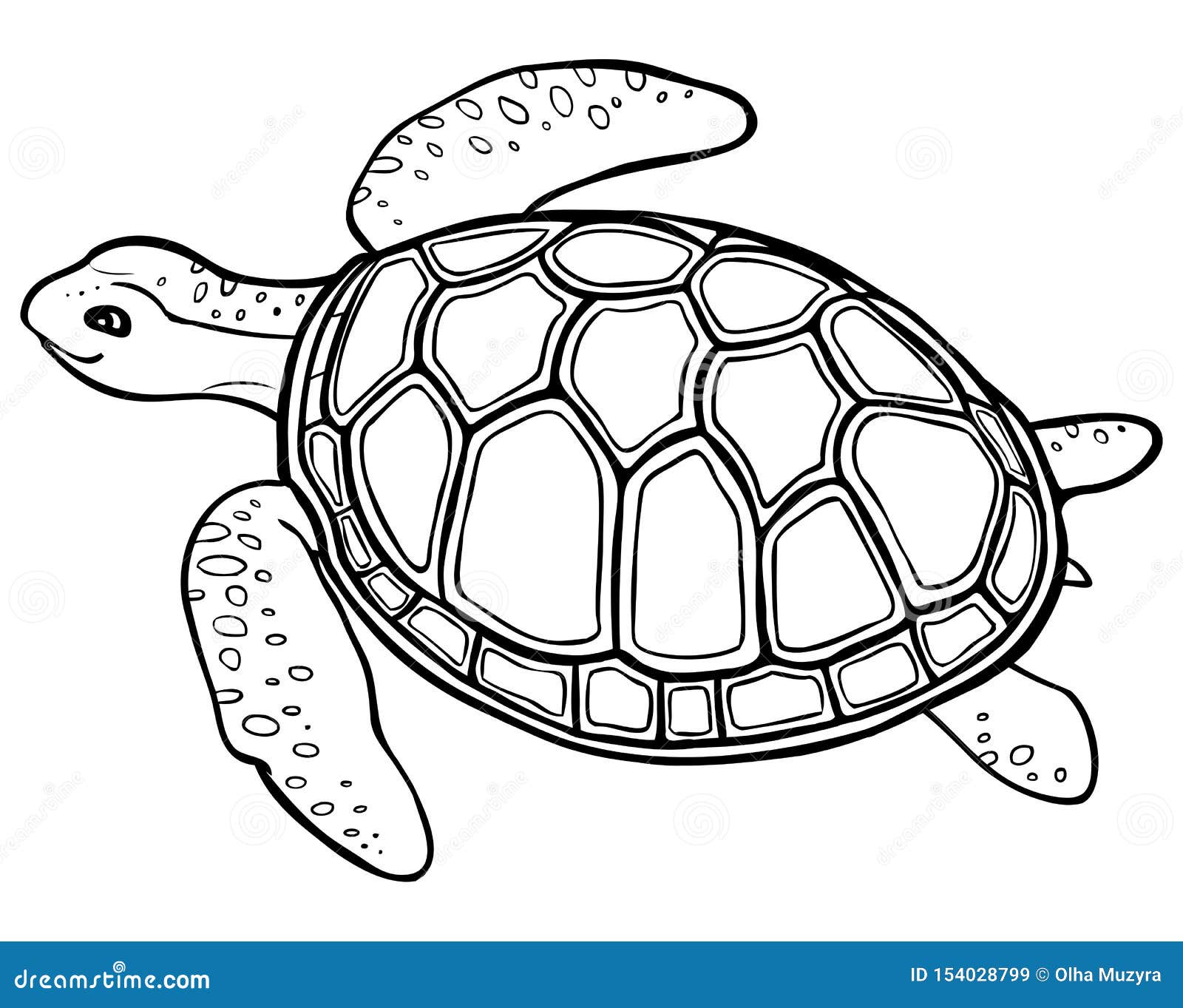 Big turtle