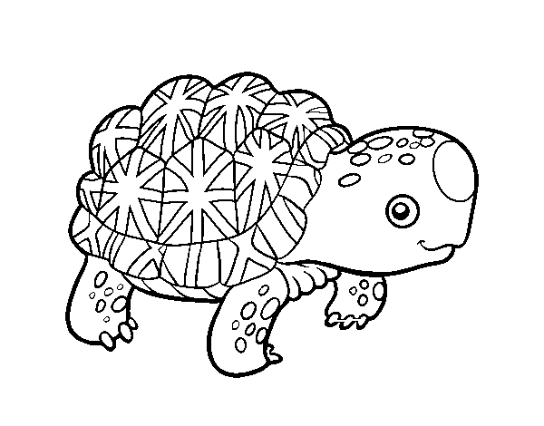 Indian star tortoise coloring page
