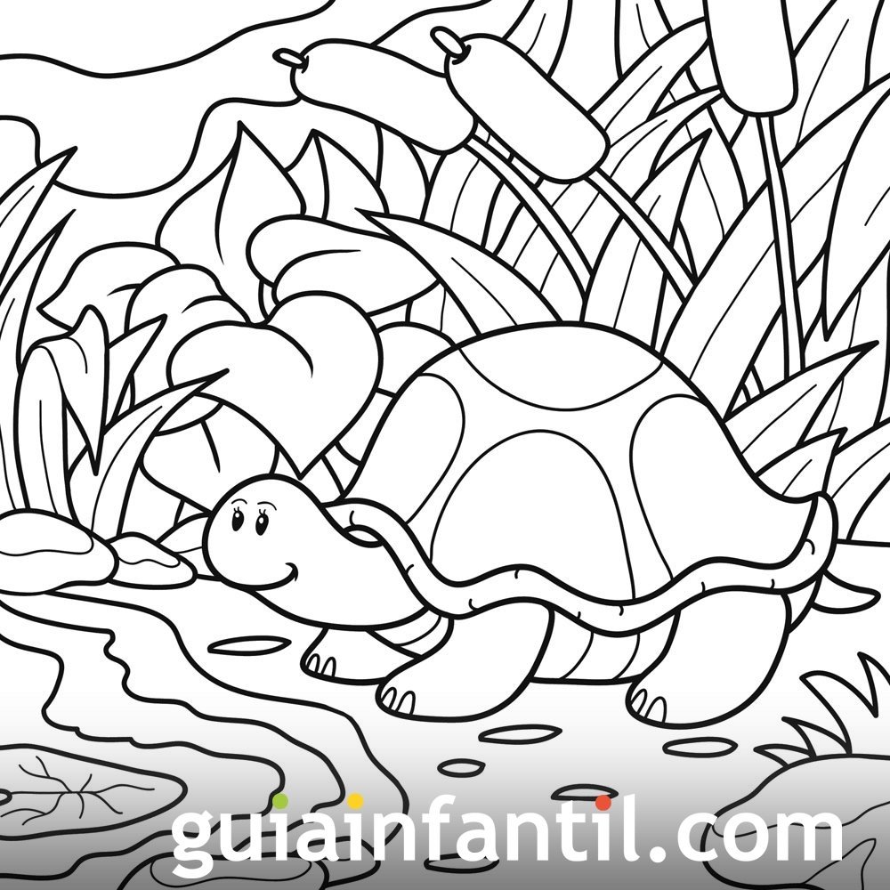 Dibujos de tortugas para imprimir y colorear