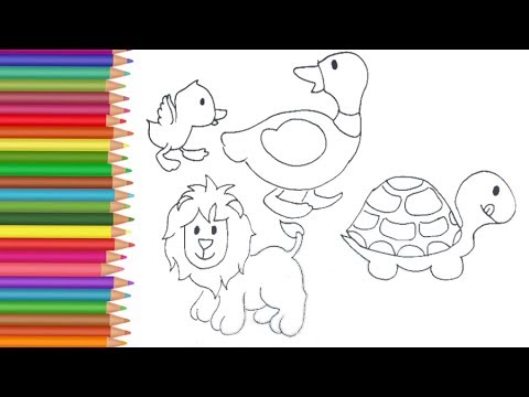 Duck turtle and lion drawing and coloring
