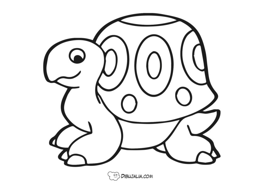 Tortuga alegre
