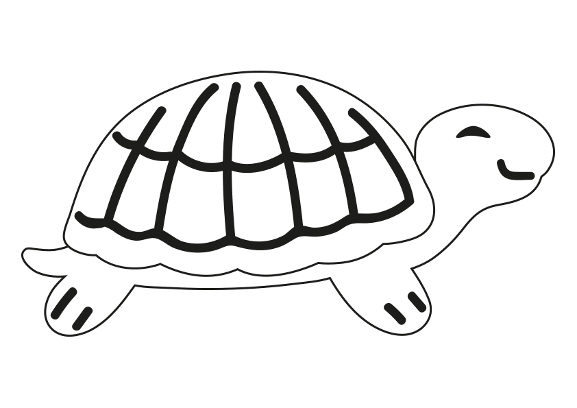 Dibujo colorear una tortuga a turtle coloring page