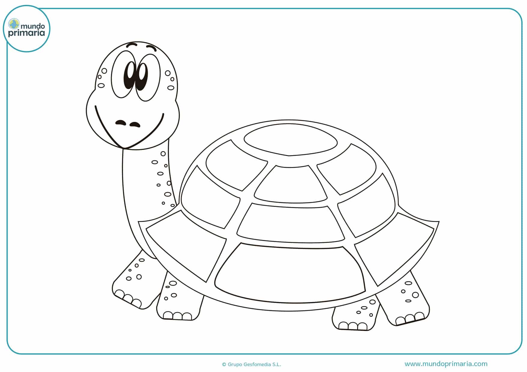 Dibujos de tortugas para colorear