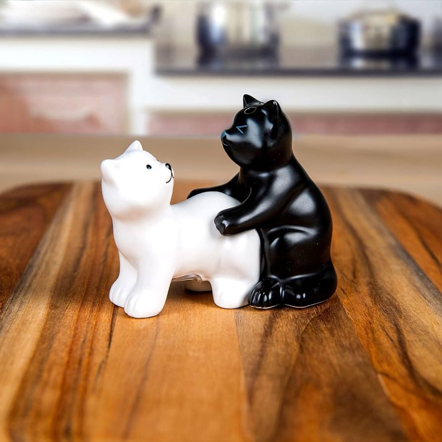 Meow salt pepper shaker home kitchen