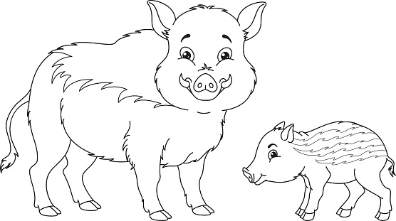 Wild boar coloring page stock illustration