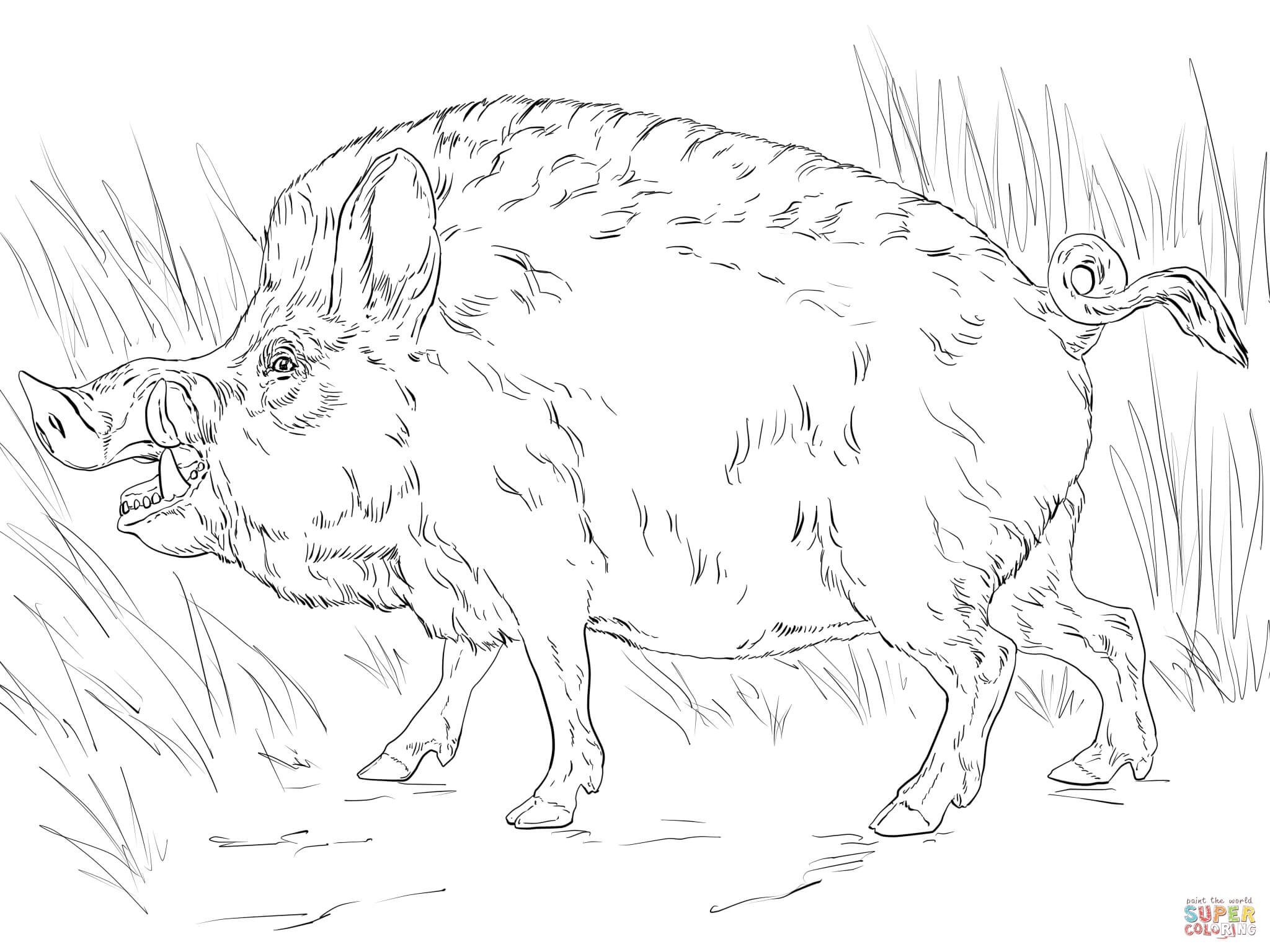 Big wild boar coloring page free printable coloring pages