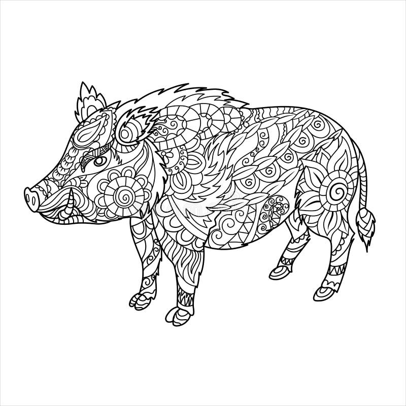 Wild boar coloring stock illustrations â wild boar coloring stock illustrations vectors clipart