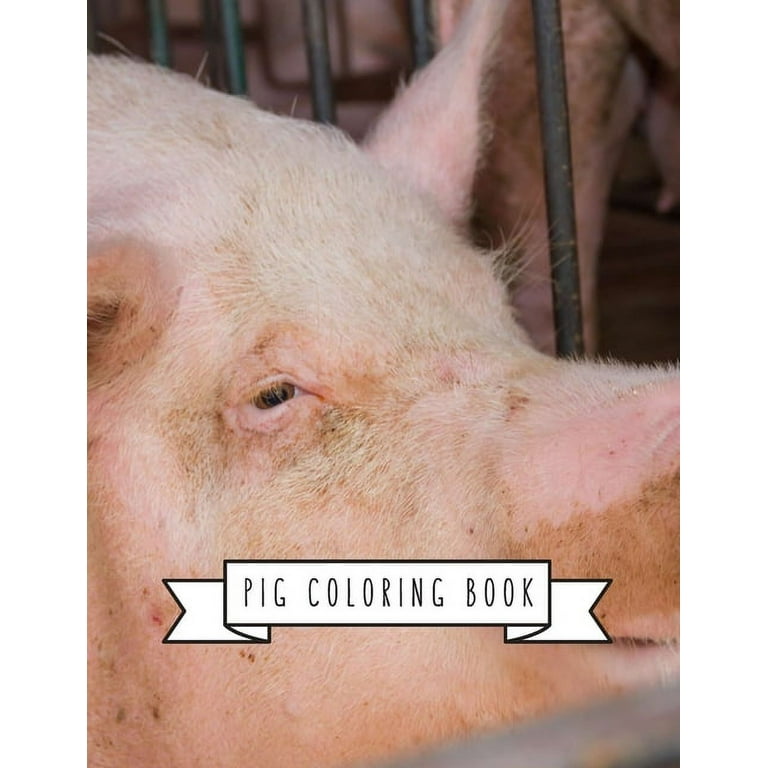 Pig coloring book pig toy gifts for toddlers kids ages
