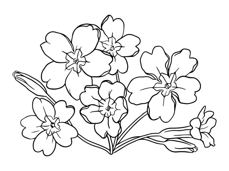 Rose flower patterns to trace printable flower pattern wood burning patterns stencil flower printable