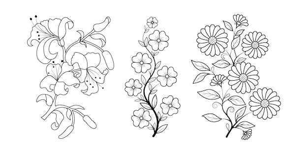 Premium vector set of floral line art hand drawn simple flower coloring pages for kids and adult