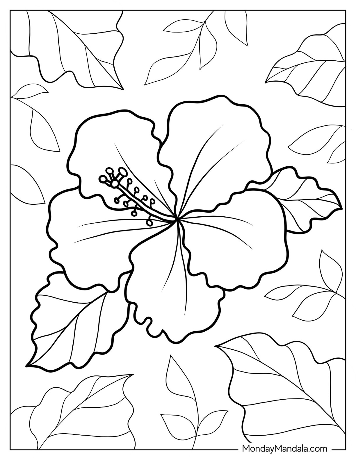 Flower coloring pages free pdf printables