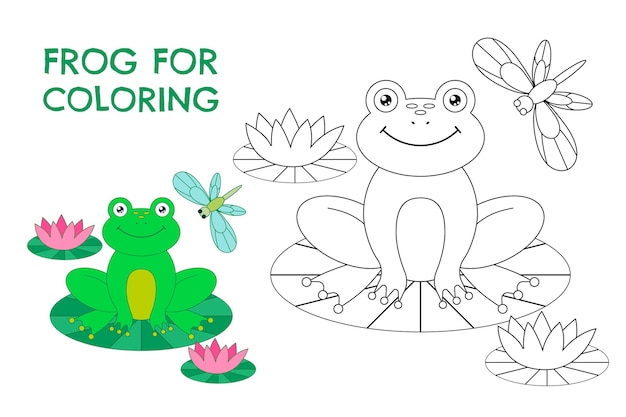 Frog tracing vectors illustrations for free download