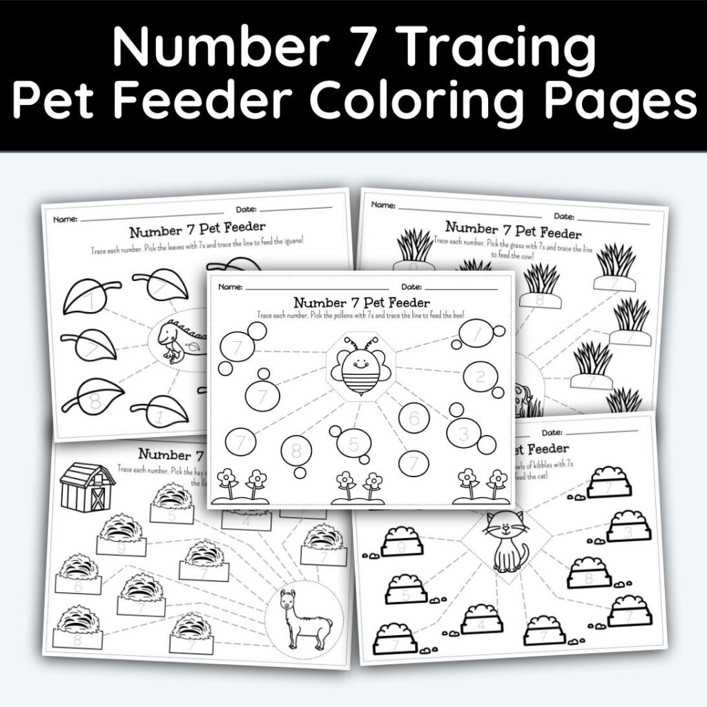 Number tracing