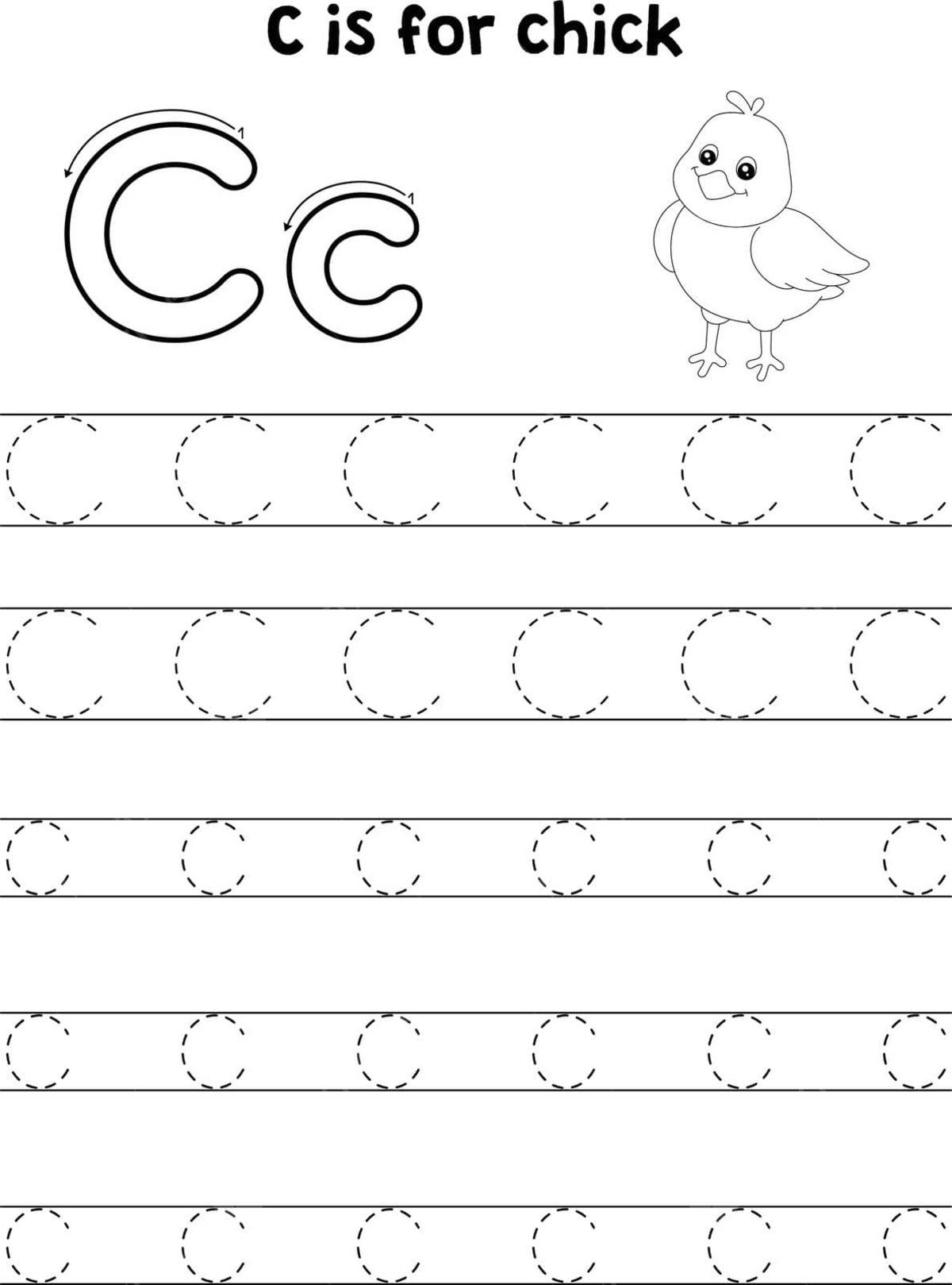 Abc coloring page with traced image of a baby chicken animal vector trace pre k bird png and vector with transparent background for free download