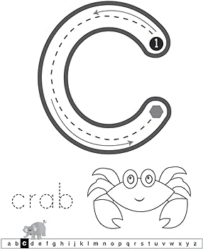 Tracing for toddlers first learn to write workbook practice line tracing pen control to trace and write abc letters numbers and shapes lalgudi sujatha hippidoo books