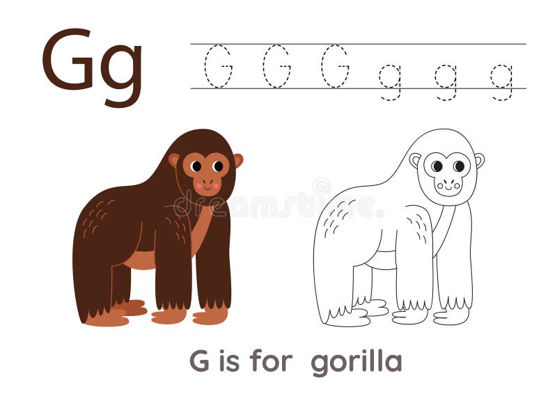 Alphabet tracing g stock illustrations â alphabet tracing g stock illustrations vectors clipart
