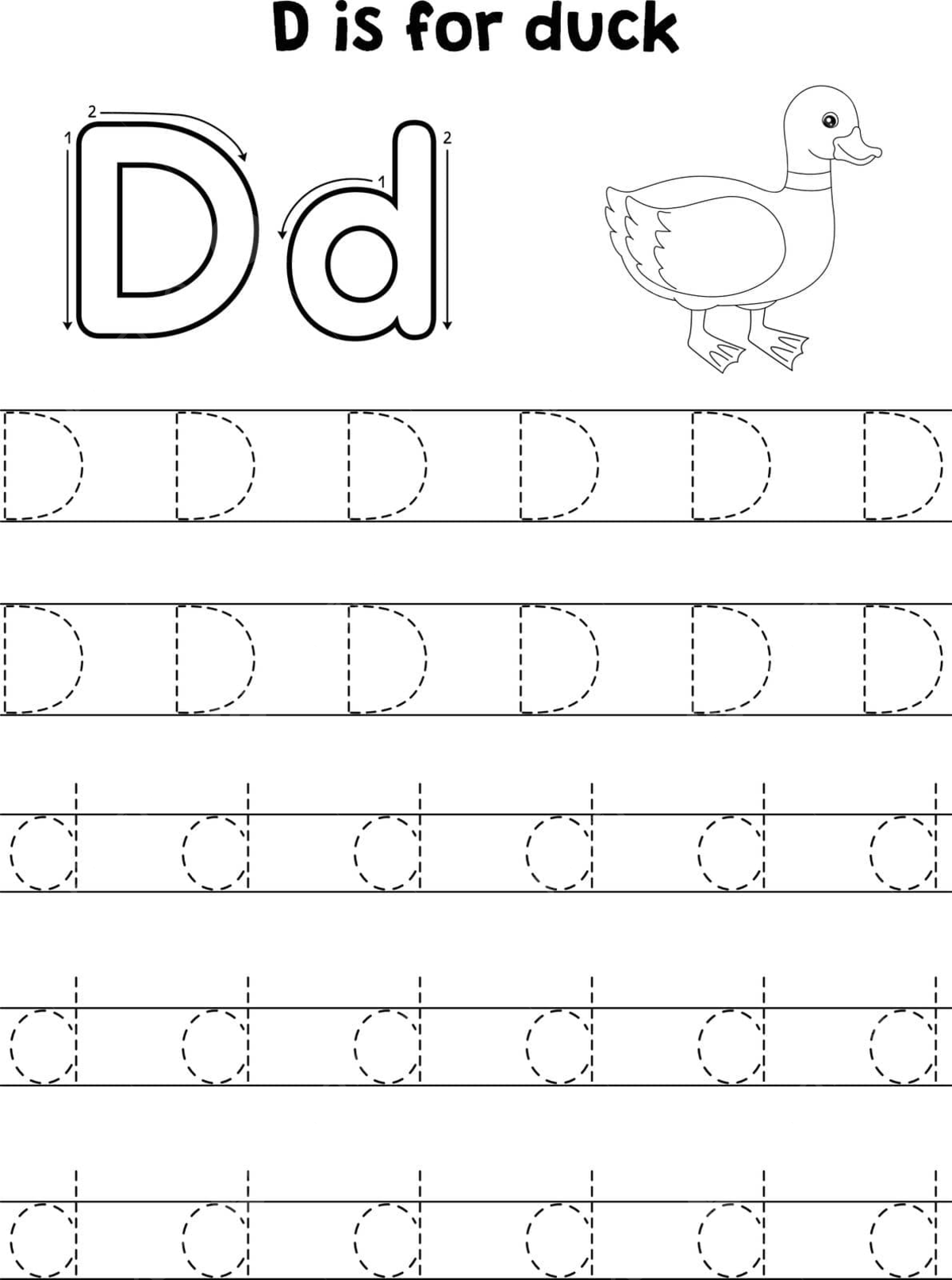 Coloring page for tracing letters with duck animal and abc vector elementary school hand drawn pre k png and vector with transparent background for free download