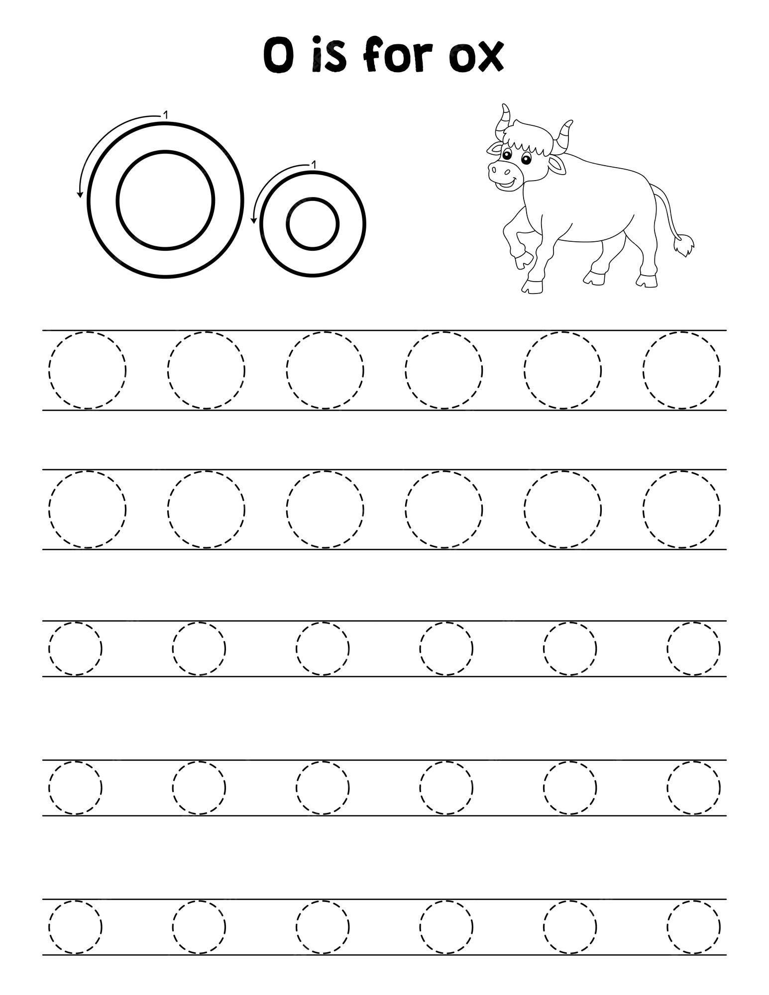Premium vector ox animal tracing letter abc coloring page o