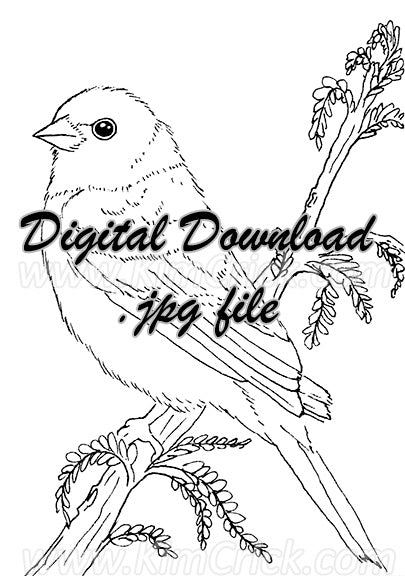 Digital file