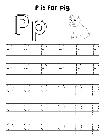 Pig animal tracing letter abc coloring page p stock illustration