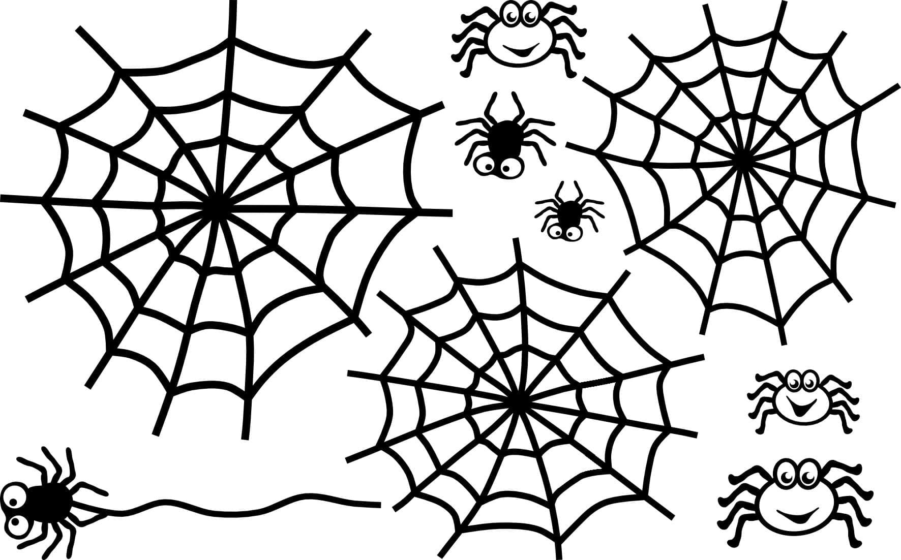 Spider web coloring pages