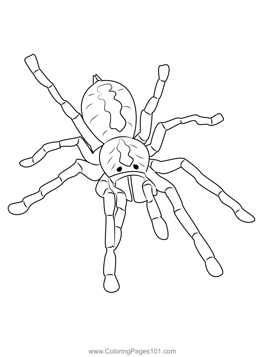 Tarantula spider coloring page for kids