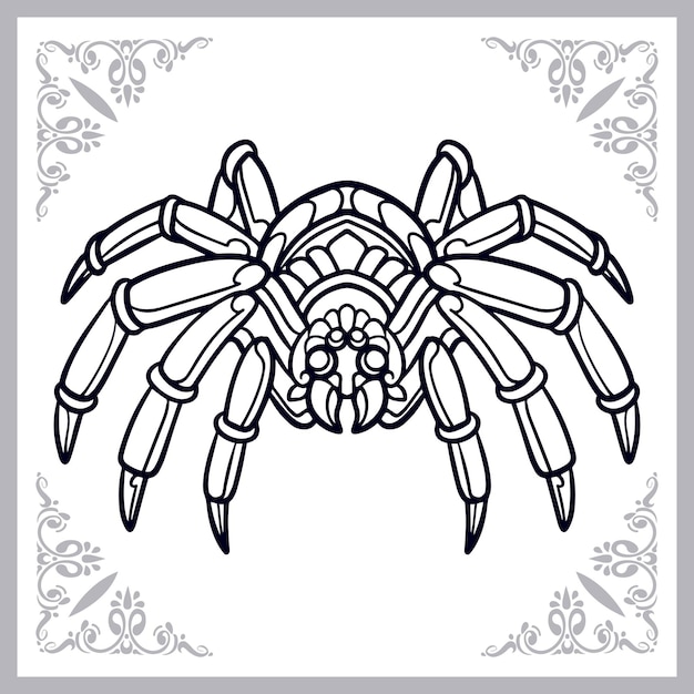 Spider coloring images