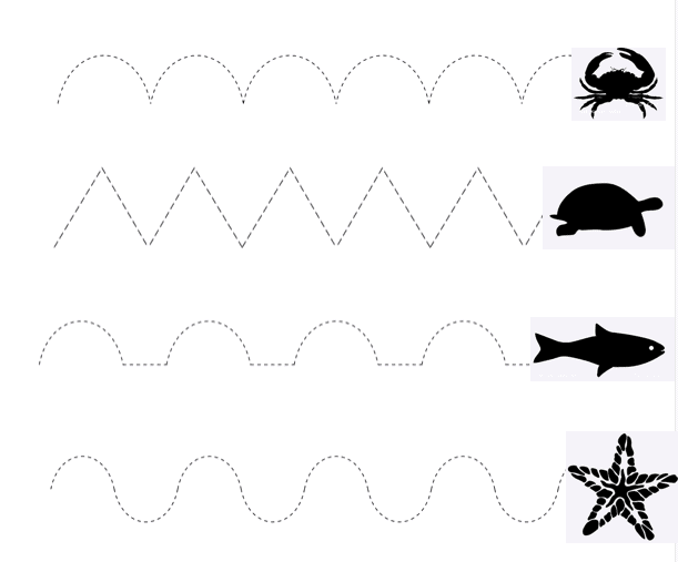 Graphics literacy tracing lines â school for the blind