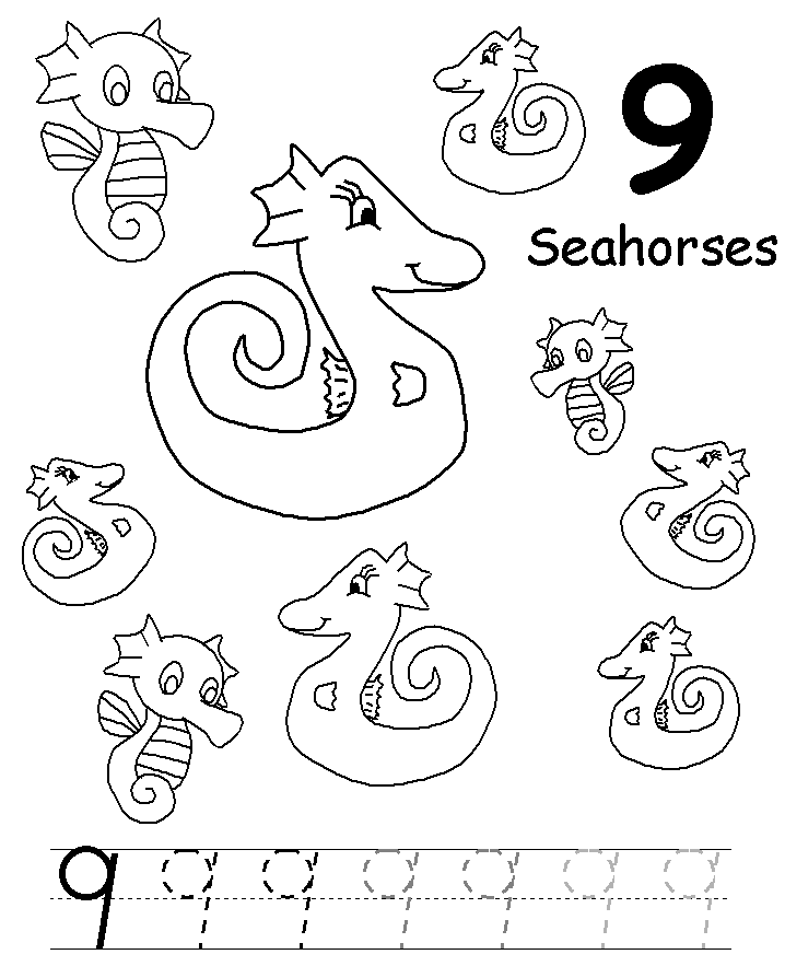 Color and trace the number