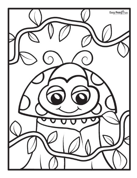 Printable ladybug coloring pages â sheets to color