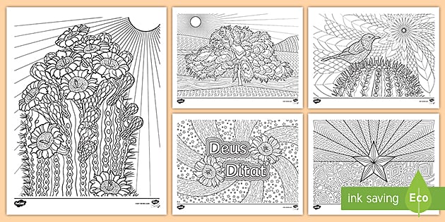 Arizona state symbols mindfulness loring sheets