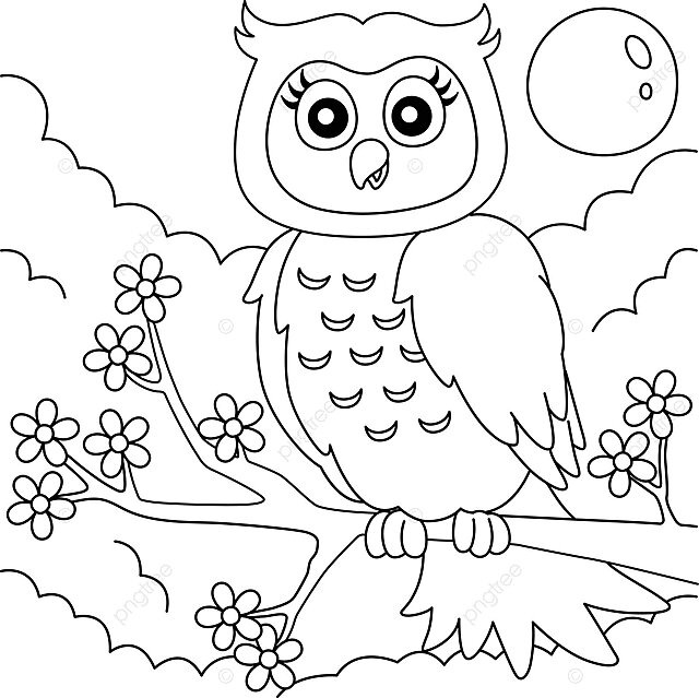 Kids coloring page owl perched on a tree branch vector owl coloring forest png and vector with transparent background for free download