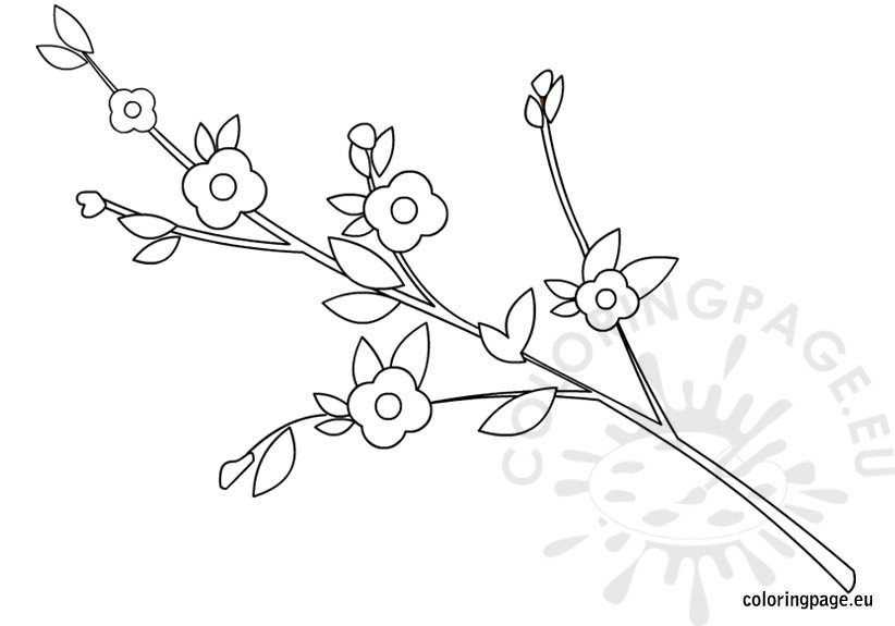 Branch with flowers coloring coloring page