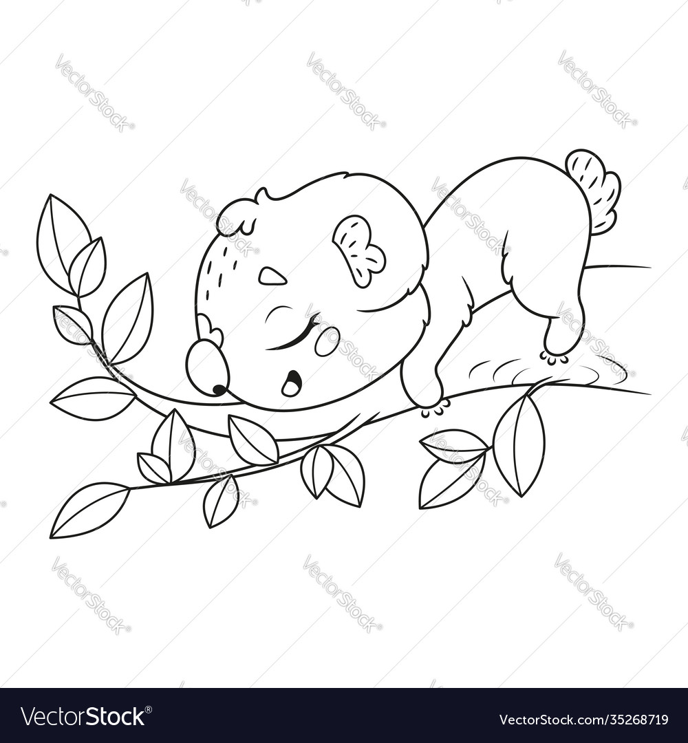 Sleeping koala on tree branch coloring page vector image