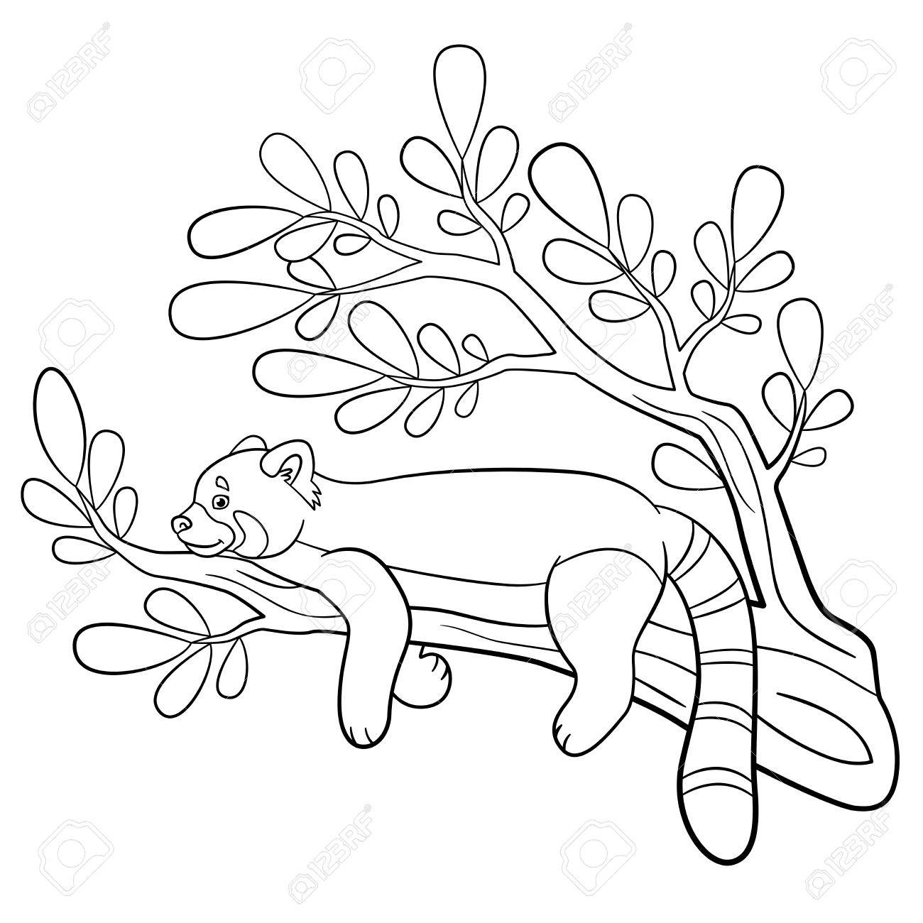 Coloring pages little cute red panda smiles on the tree branch royalty free svg cliparts vectors and stock illustration image