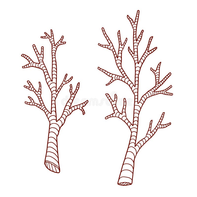 Tree branches coloring page stock illustrations â tree branches coloring page stock illustrations vectors clipart