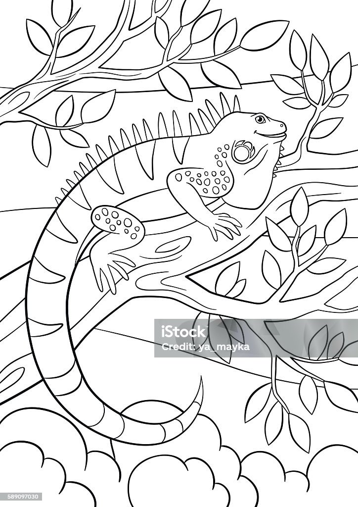 Coloring pages cute iguana sits on the tree branch stock illustration
