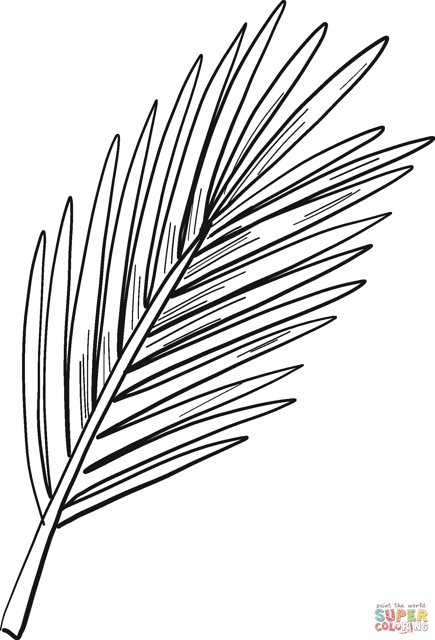 Evergreen tree branch coloring page free printable coloring pages