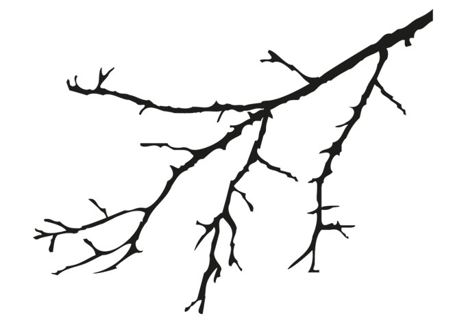 Best photos of tree branch coloring page