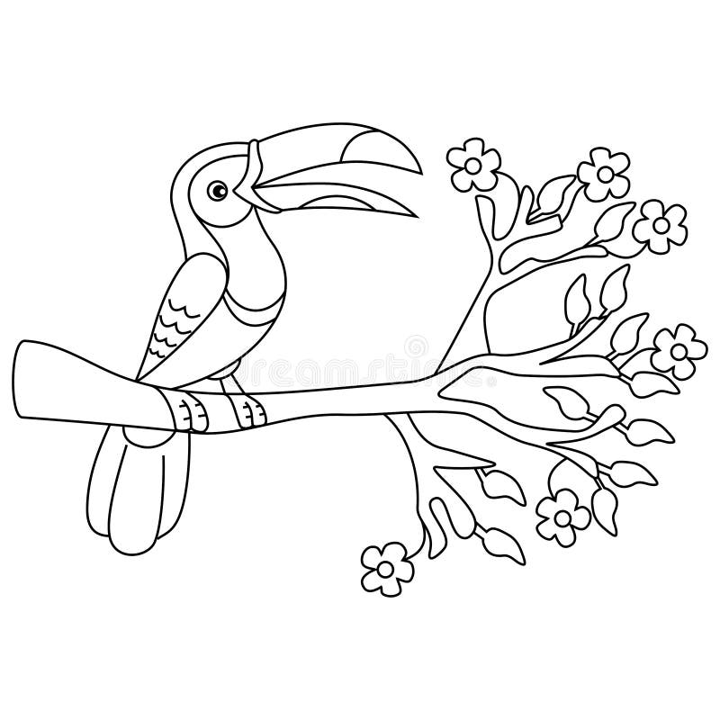 Coloring pages birds little cute toucan stock photo