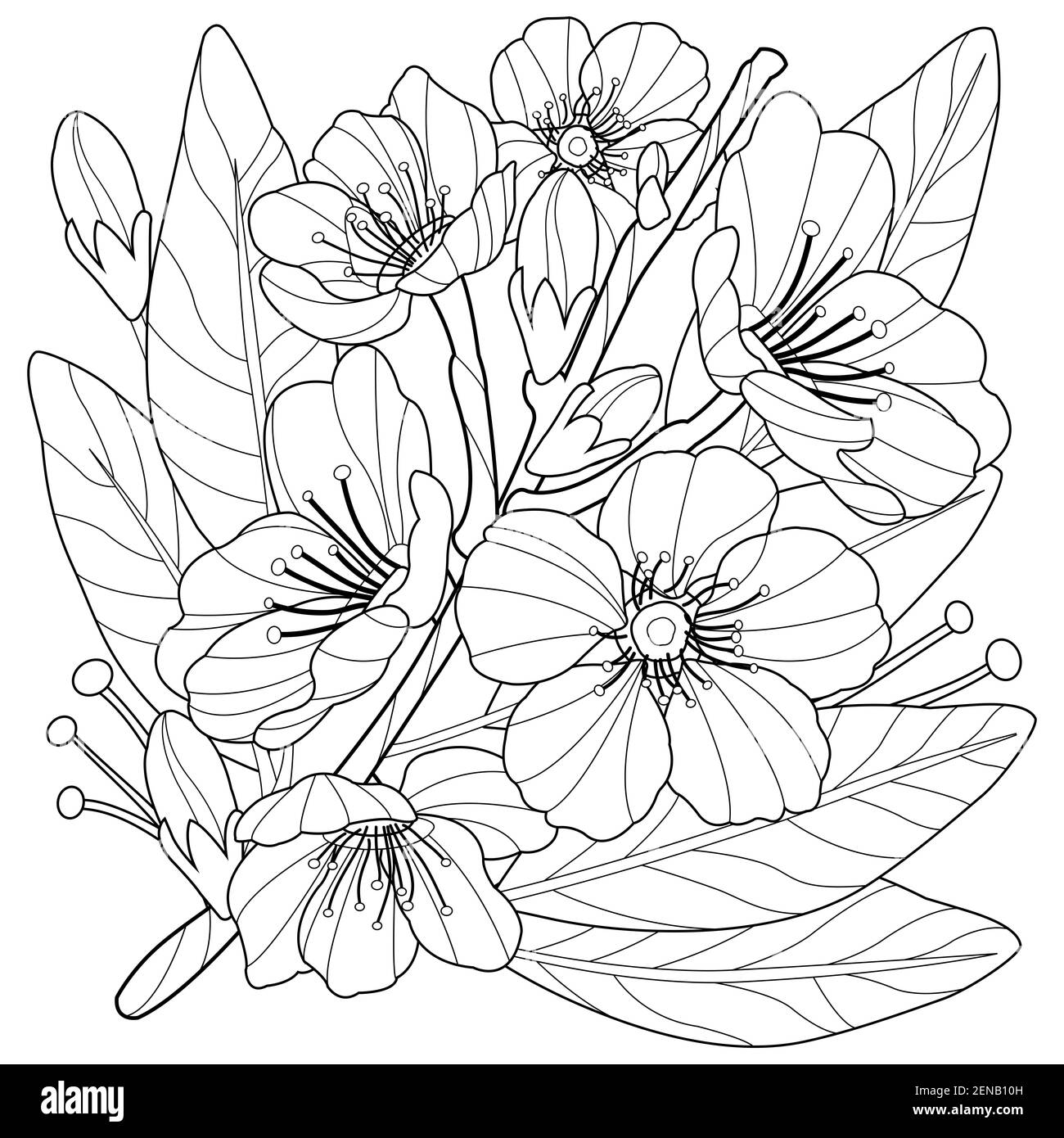 Blossoming almond tree branch with flowers black and white coloring page stock photo