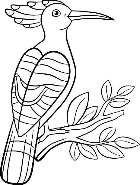 Coloring pages cute beautiful hoopoe sits on the tree branch stock illustration