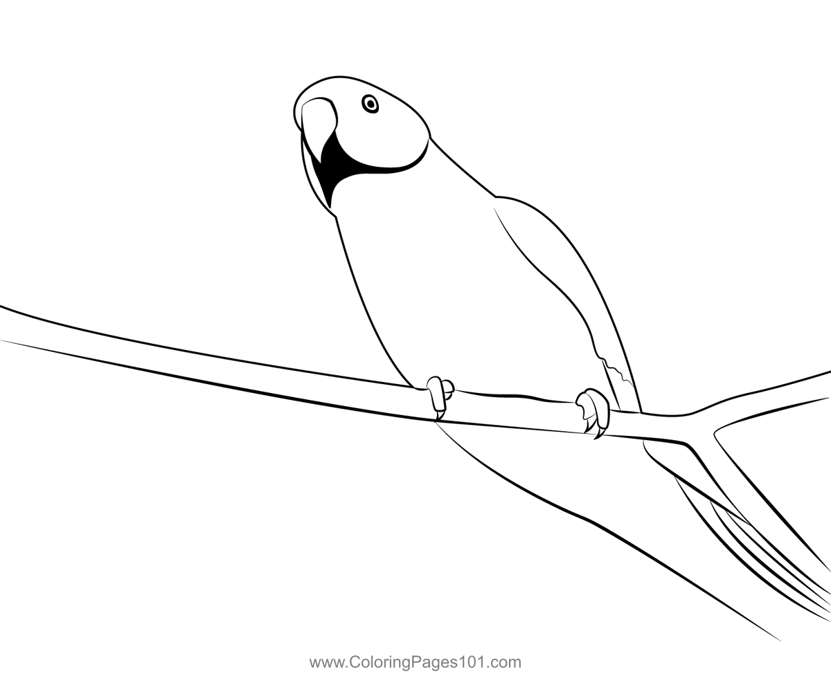 Beautiful parrot on tree branch coloring page for kids