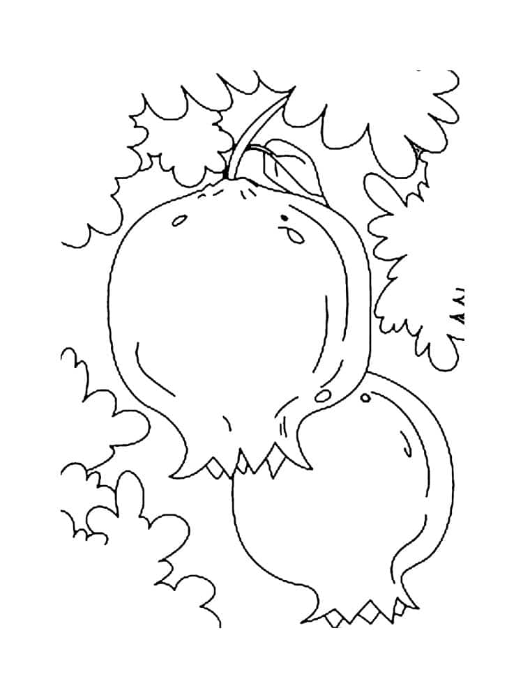 Pomegranates hanging on a tree branch coloring page