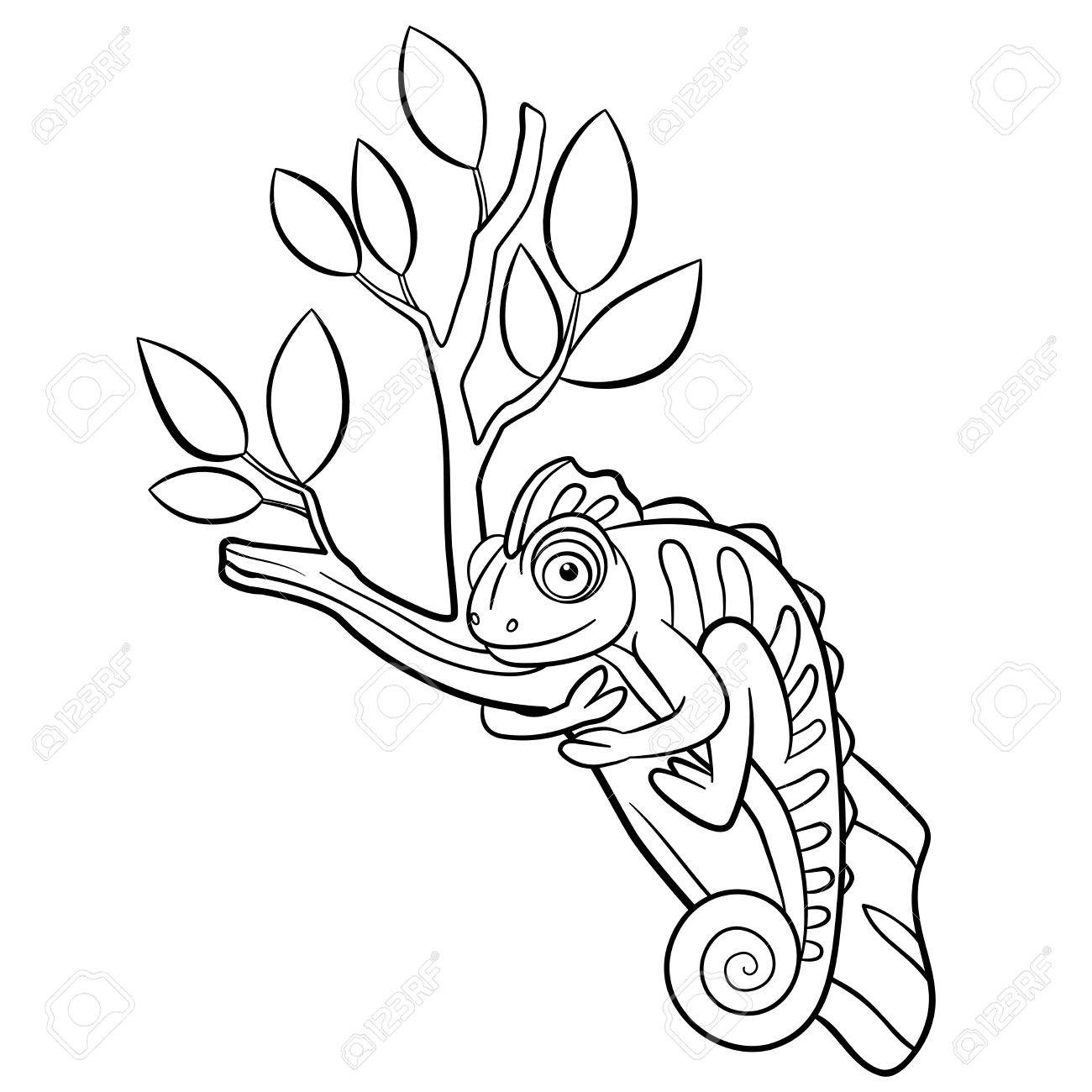 Coloring pages wild animals little cute chameleon sits on the tree branch and smiles royalty free svg cliparts vectors and stock illustration image