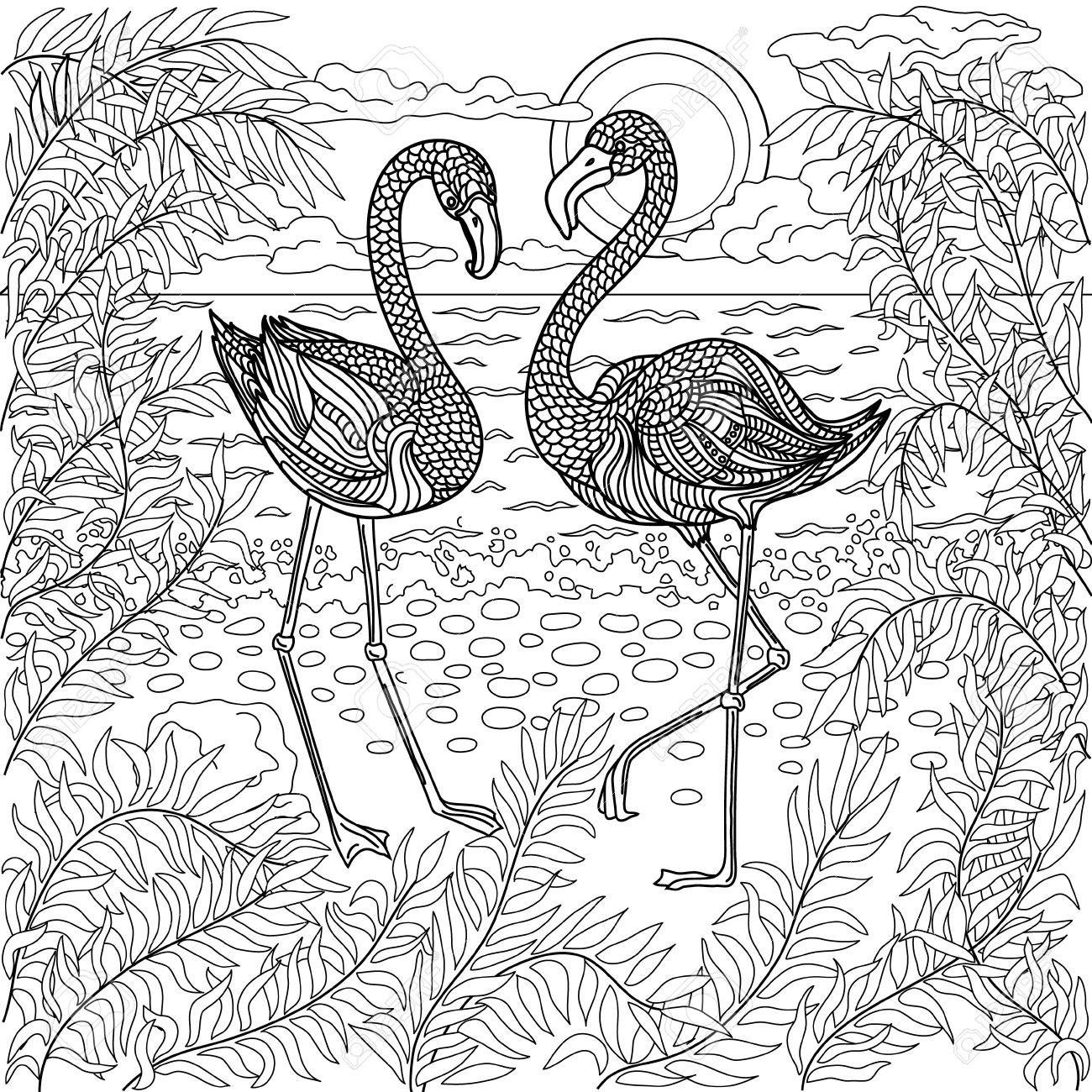 Hand drawn birds